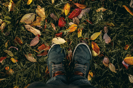 Colorful and wet fallen leaves in autumn season. Autumn background. Yellow fall.
