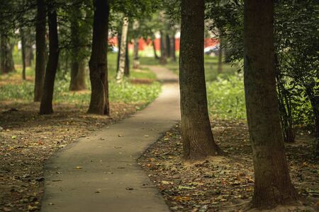 Autumn park in Russia. Nature background. Fall park. Landscape.の写真素材