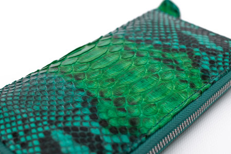 Fashion luxury snakeskin python wallet isolated on a white background.