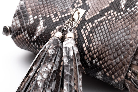 Fashion luxury snakeskin python handbag isolated on a white background.