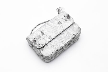 Fashion luxury snakeskin python handbag isolated on a white background.の写真素材