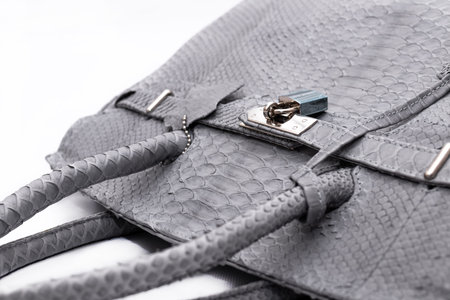 Fashion luxury snakeskin python handbag isolated on a white background.