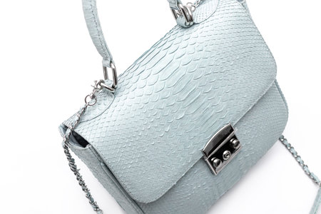 Fashion luxury snakeskin python handbag isolated on a white background.