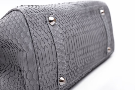 Fashion luxury snakeskin python handbag isolated on a white background.