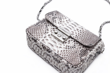Fashion luxury snakeskin python bag isolated on a white background.