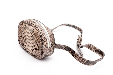 MOSCOW, RUSSIA - DECEMBER 1, 2019: Fashion luxury snakeskin python handbag isolated on a white background.のeditorial素材