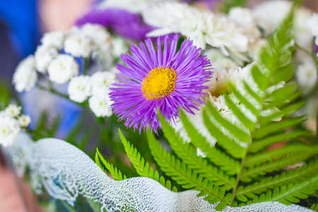 Flowers background outdoor, summer time. High quality photoの写真素材