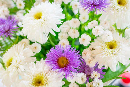 Flowers background outdoor, summer time. High quality photoの写真素材