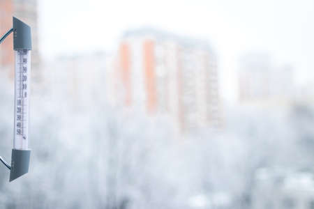 Snowy trees, christmas background, winter. High quality photo.の写真素材