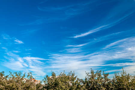 Beautiful blue sky background, wide angel shot.の写真素材