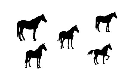 Horse silhouettes set isolated on white background. Vector illustration.のイラスト素材