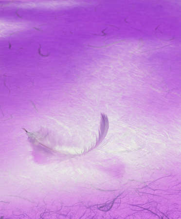 Featherの写真素材