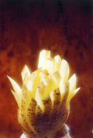 Potatoの写真素材