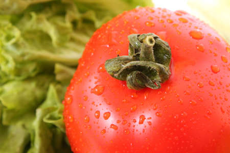 Fresh Red wet Tomatoesの写真素材