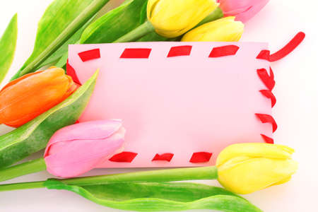 Bouquet of tulips and post card on whiteの写真素材
