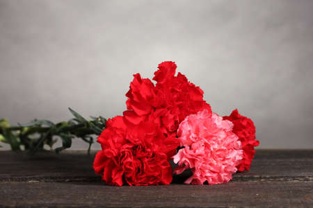 Bouquet of carnations on greyの写真素材