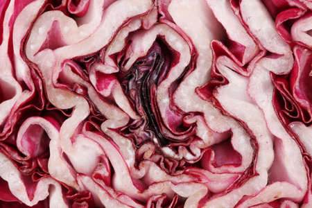 Red cabbage closeupの写真素材