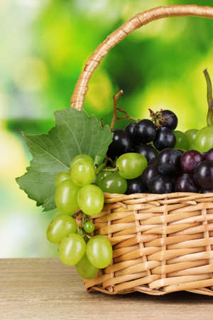 Ripe grapes in  basket on green backgroundの写真素材
