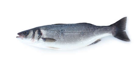 Fresh fish isolated on whiteの写真素材