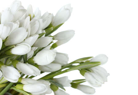 beautiful bouquet of snowdrops isolated on whiteの写真素材
