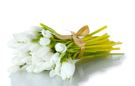 beautiful bouquet of snowdrops isolated on whiteの写真素材