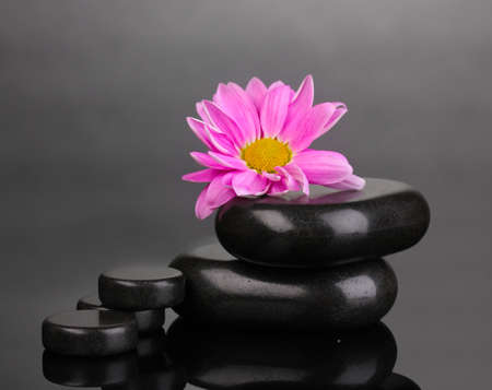 Spa stones and flower on grey backgroundの写真素材
