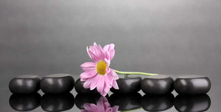 Spa stones and flower on grey backgroundの写真素材