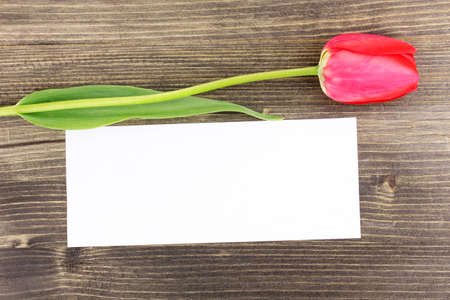 Beautiful tulip and card on wooden backgroundの写真素材