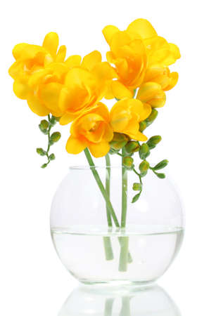 Beautiful yellow freesias in vase isolated on whiteの写真素材