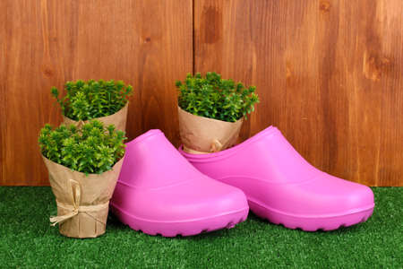 Gardening tools on wooden backgroundの写真素材
