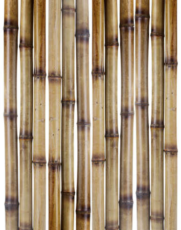 dry bamboo sticks isolated on white dry bamboo sticks isolated on white