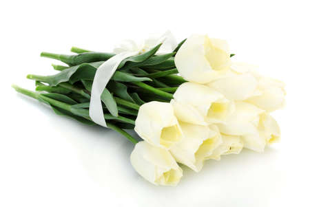 beautiful tulips isolated on white
のeditorial素材