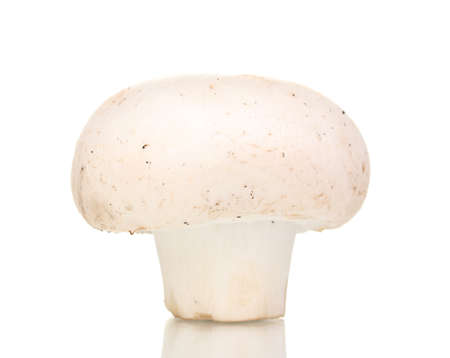 fresh mushroom isolated on whiteの写真素材