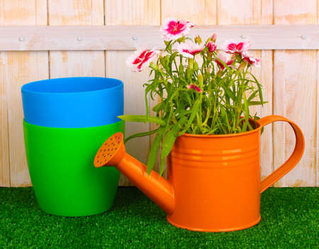Gardening tools on wooden backgroundの写真素材