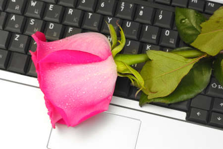 The idea of dating onlineの写真素材