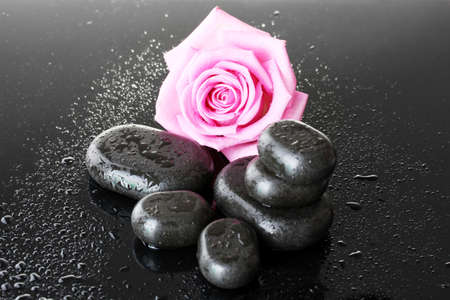 Spa stones with drops and pink rose on grey backgroundの写真素材