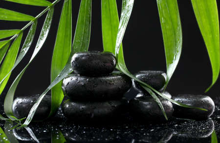 Spa stones with drops and green palm leaf on black backgroundの写真素材