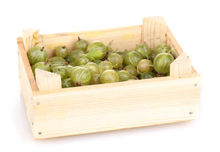 Green gooseberry in crate isolated on whiteの写真素材