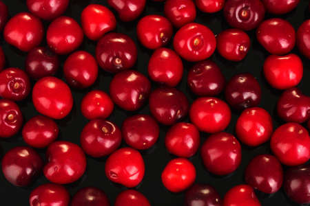 cherry background on black close-upの写真素材