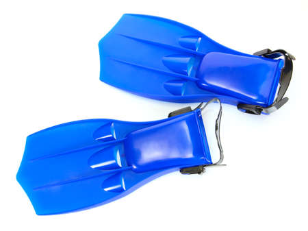 blue flippers isolated on white
の写真素材