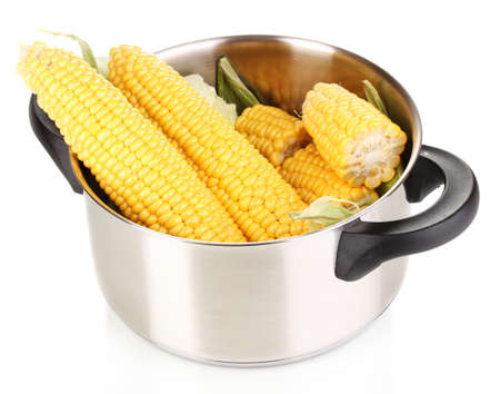 Fresh corn cobs in pot isolated on whiteの写真素材