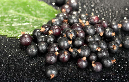 Fresh black currant on black background close-upの写真素材