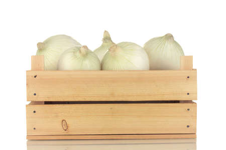 white onion in wooden box isolated on white backgroundの写真素材