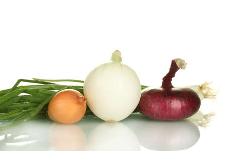 different types of onions on white background close-upの写真素材