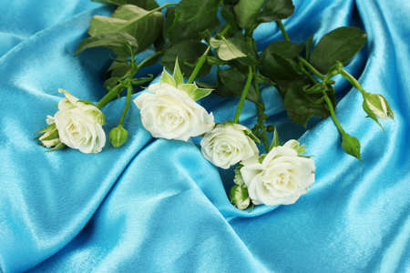 Beautiful white roses on blue satin close-upの写真素材