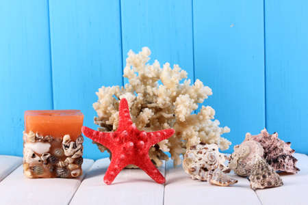 Decor of seashells on wooden table on blue wooden backgroundの写真素材