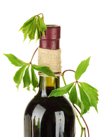 bottle of wine from the vine isolated on whiteの写真素材