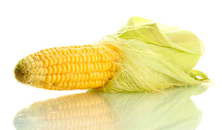 fresh corn, isolated on whiteの写真素材
