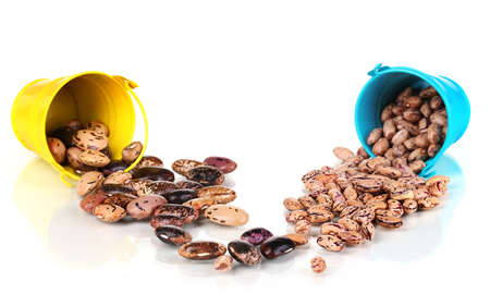 Brown beans in blue and yellow bucket isolated on whiteの写真素材