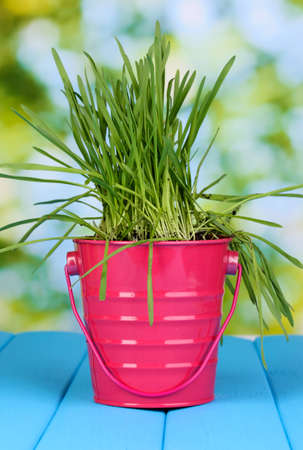 Green grass in bucket on wooden table on bright backgroundの写真素材